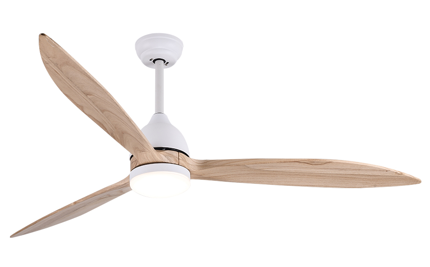 60-1070 60-Inch Ceiling Fan with LED Light