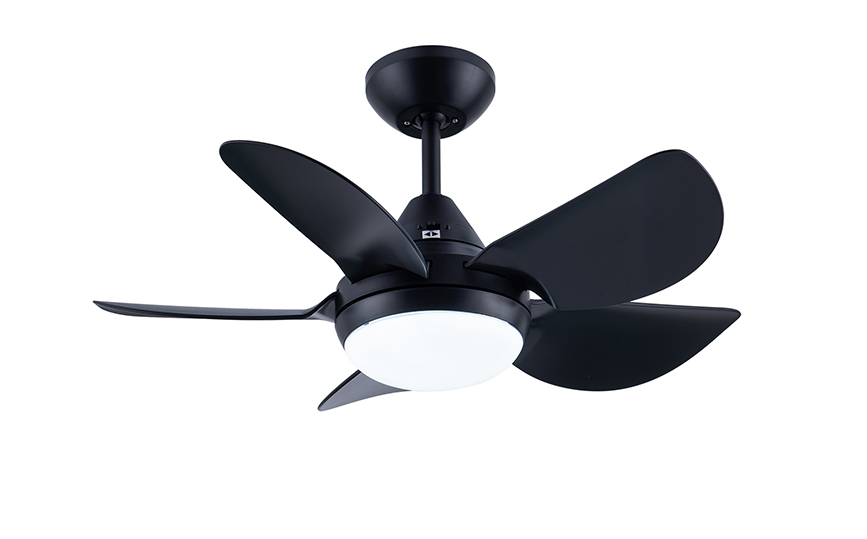 Ceiling Fan with Lights and Remote Control in Matte Black,30-Inch