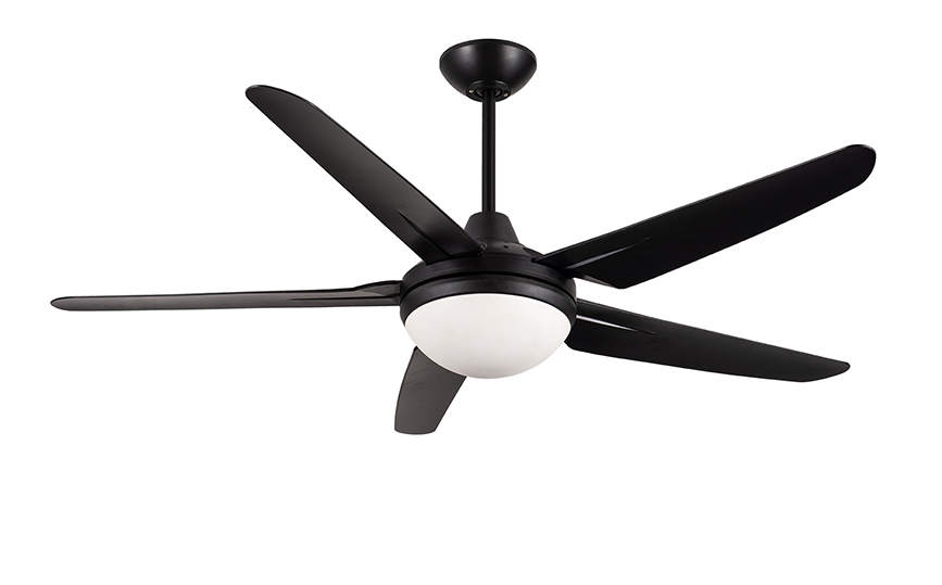 53-1204D-5 53-Inch Ceiling Fans with Lights and Remote Control